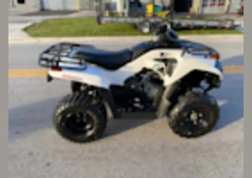 Kawasaki Brute Force 2023 525km